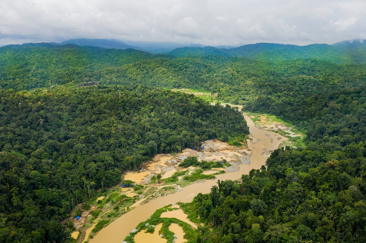 Hutan di Solok Selatan