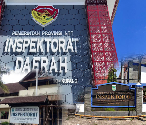 ilustrasi inspektorat daerah